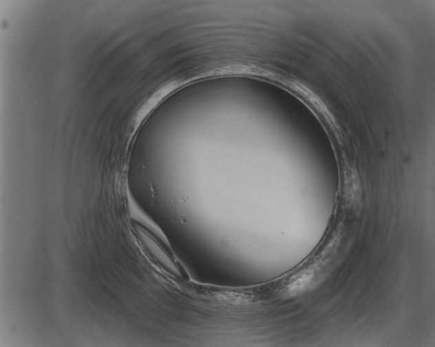 X0000086301097200704091015