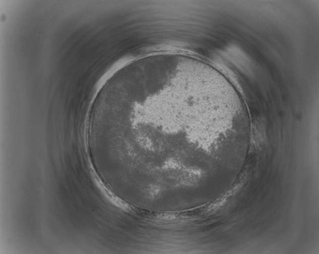 X0000086301098200704091015