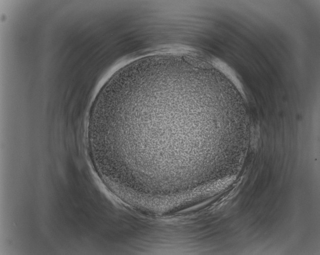 X0000086301099200704091015