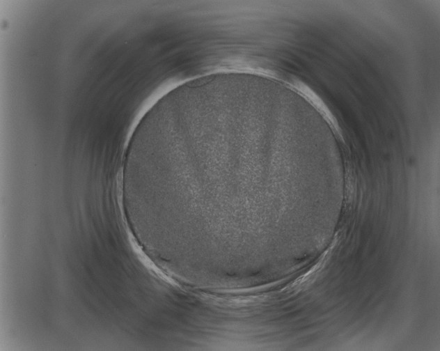 X0000086301100200704091015