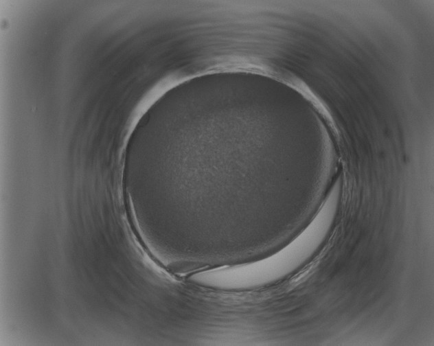 X0000086301102200704091015