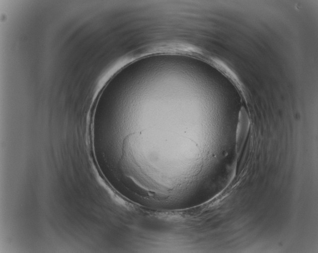 X0000086301103200704091015