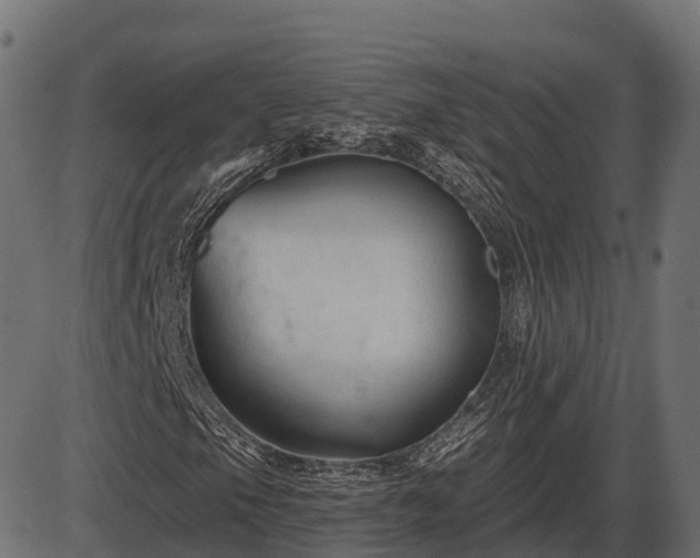 X0000086301105200704091014