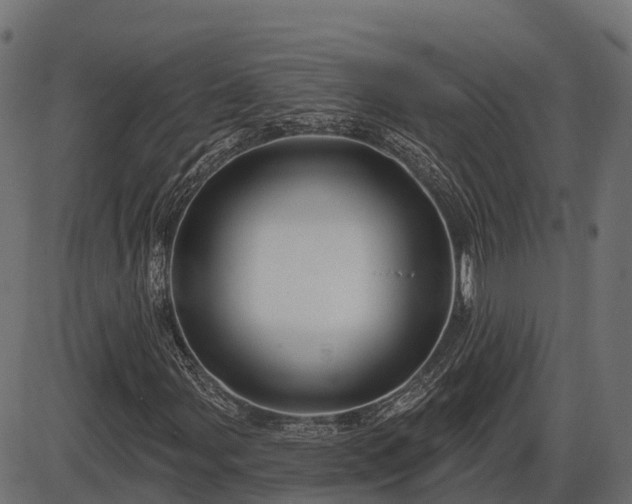 X0000086301107200704091014