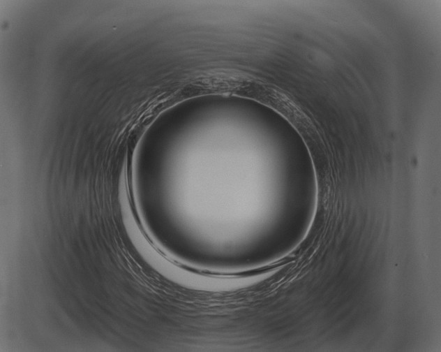 X0000086301108200704091014