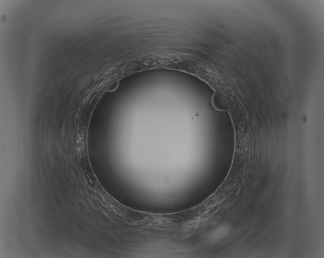 X0000086301109200704091014