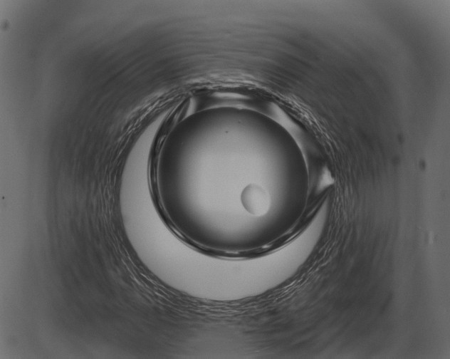 X0000086301110200704091014