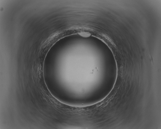 X0000086301111200704091014