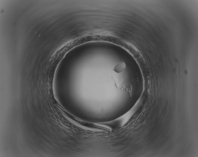 X0000086301112200704091014