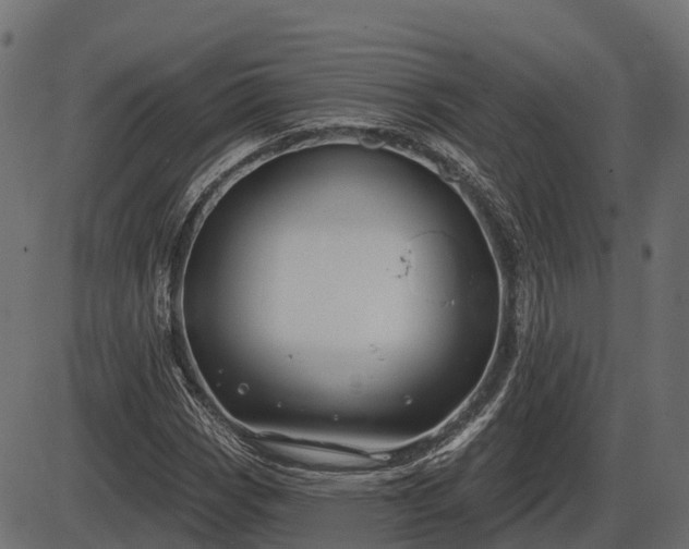 X0000086301113200704091014