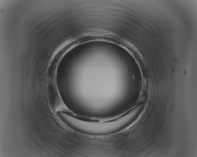 X0000086301114200704091014