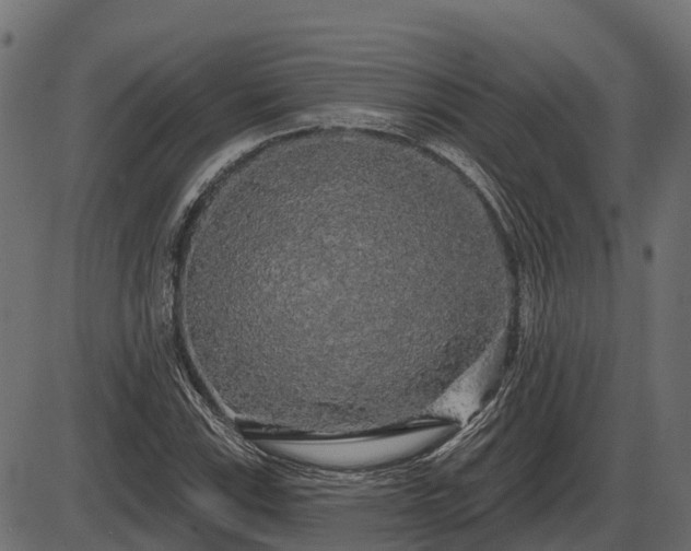 X0000086301115200704091014