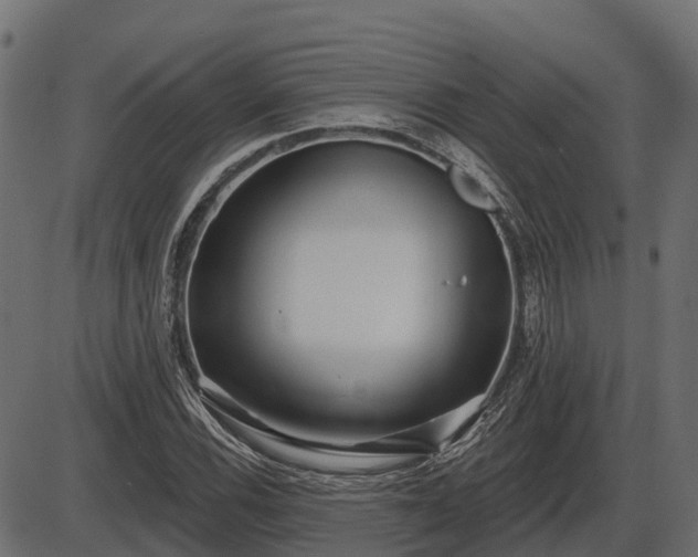 X0000086301116200704091014