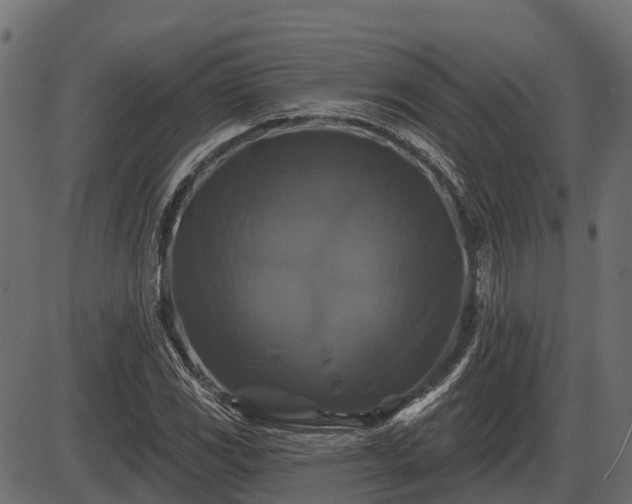 X0000086301117200704091014