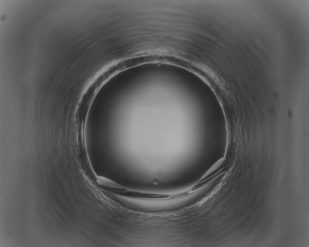 X0000086301118200704091014