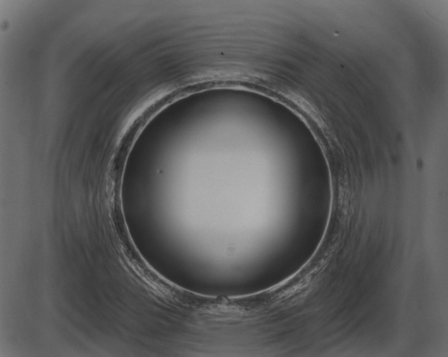 X0000086301119200704091014