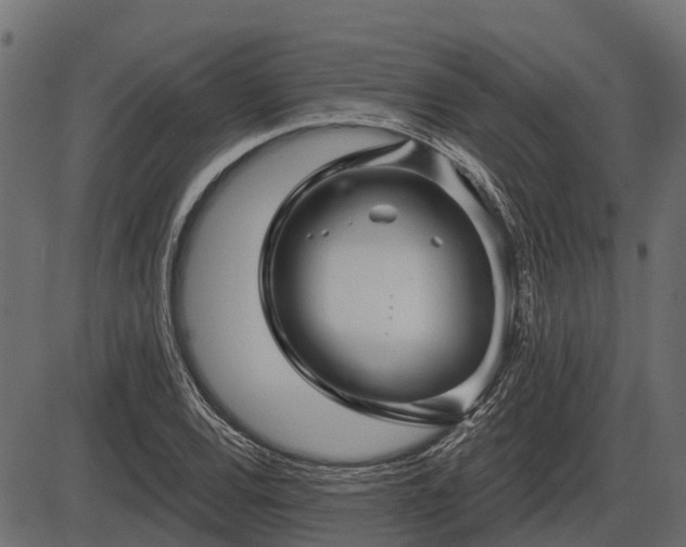 X0000086301120200704091014