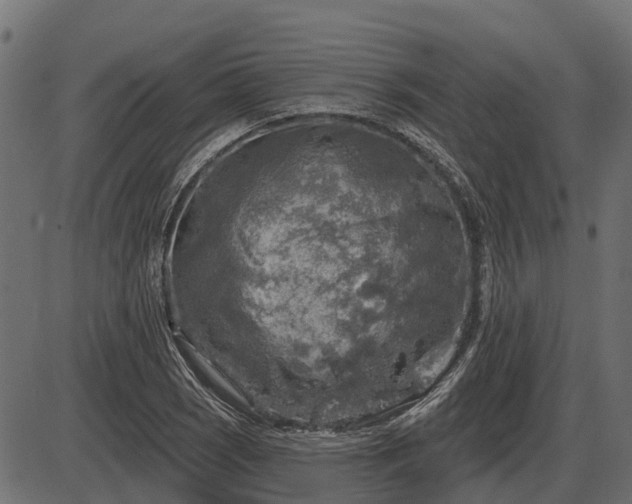 X0000086301121200704091014