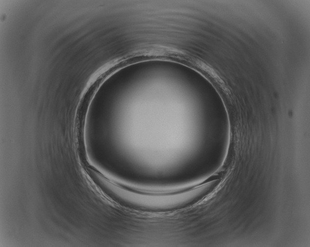 X0000086301122200704091014