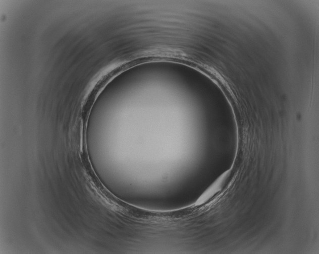 X0000086301123200704091014