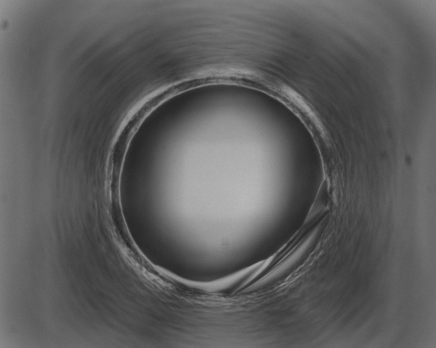 X0000086301124200704091014