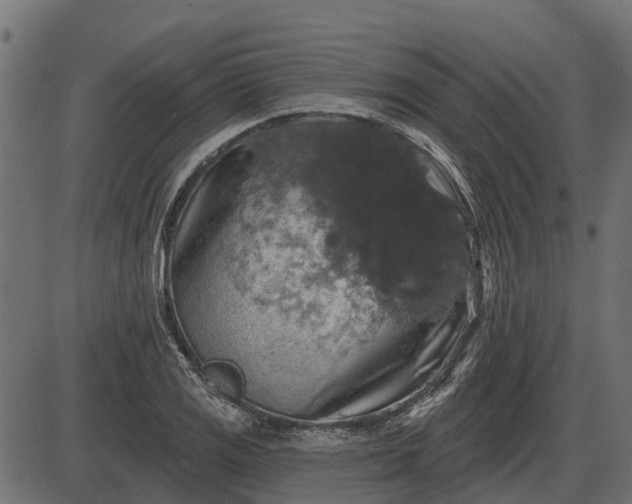 X0000086301125200704091014