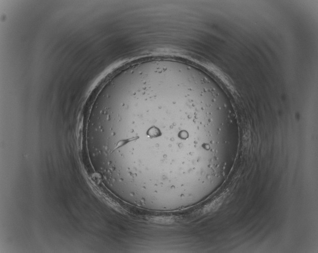 X0000086301126200704091014