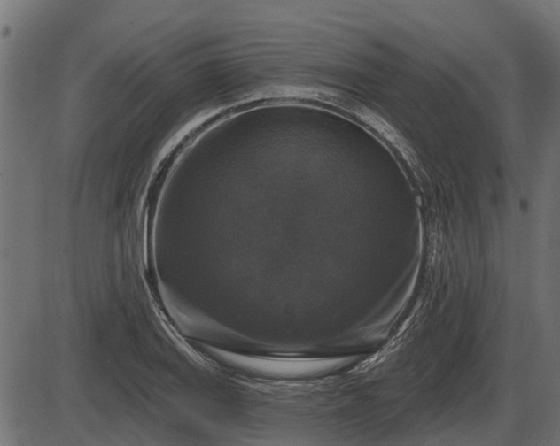 X0000086301127200704091014