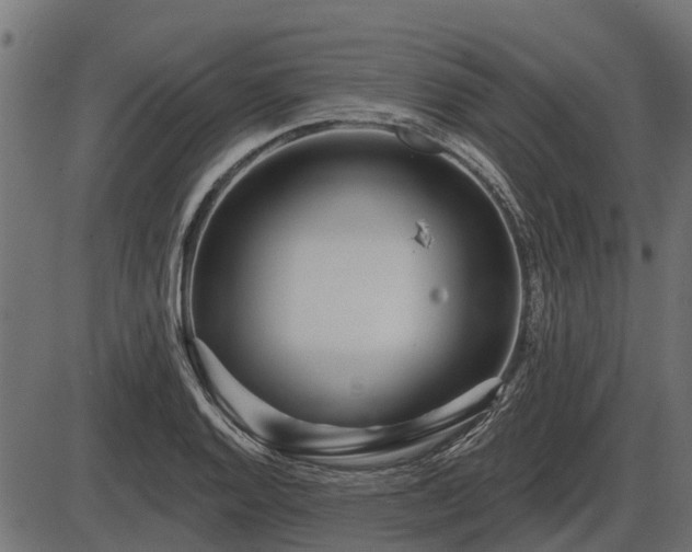 X0000086301128200704091014