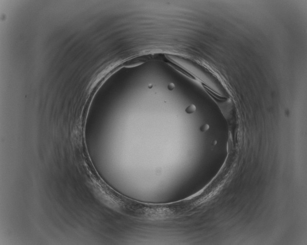 X0000086301129200704091014