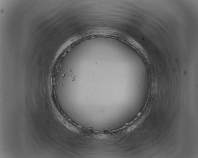 X0000086301130200704091014