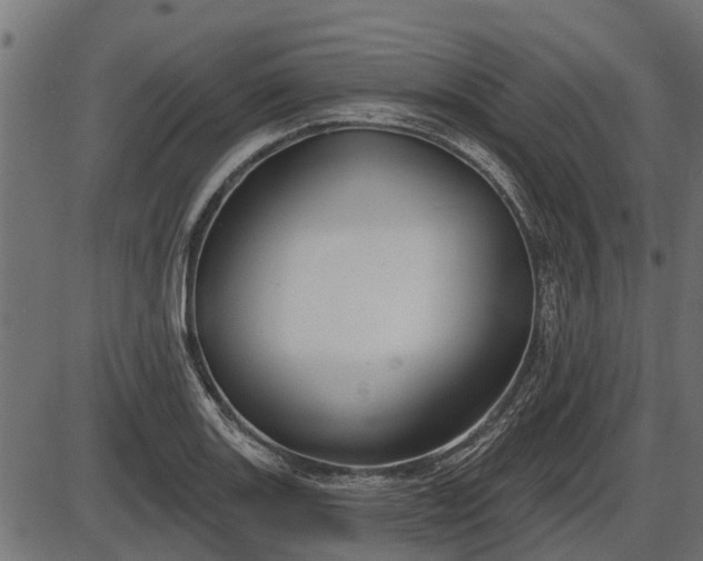 X0000086301131200704091014