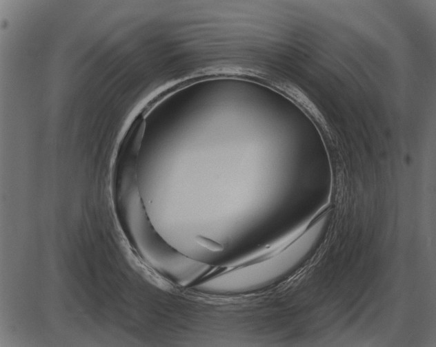 X0000086301132200704091014