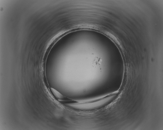 X0000086301133200704091014