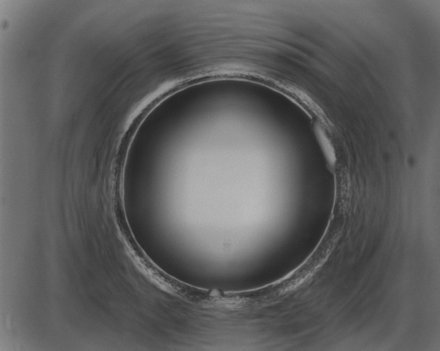 X0000086301134200704091014