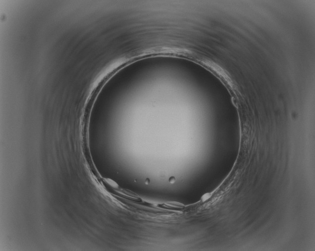 X0000086301135200704091014