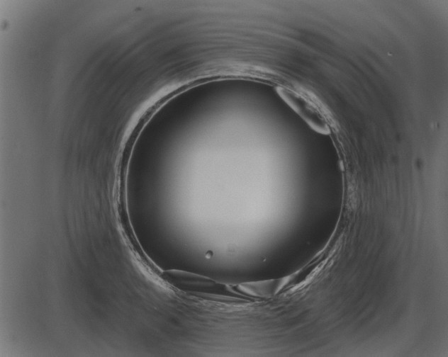 X0000086301136200704091014