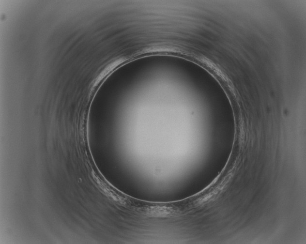 X0000086301137200704091014