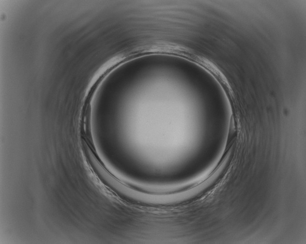 X0000086301138200704091014