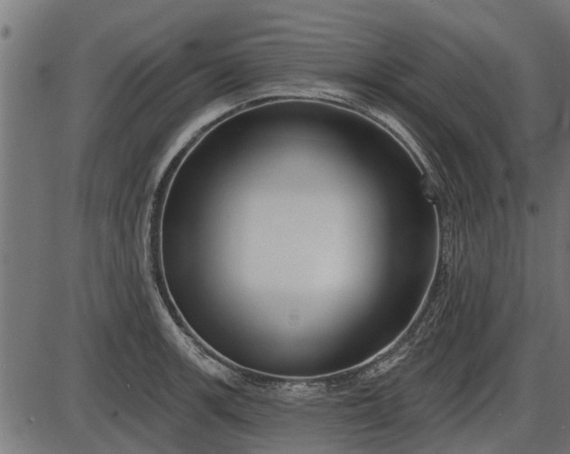 X0000086301139200704091014