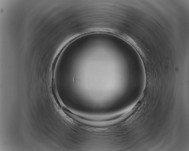 X0000086301140200704091014