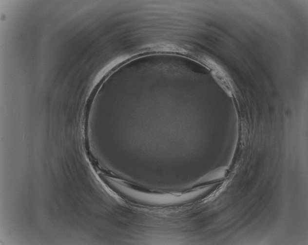 X0000086301141200704091014