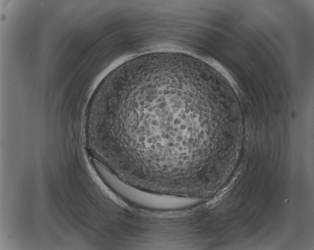 X0000086301142200704091014