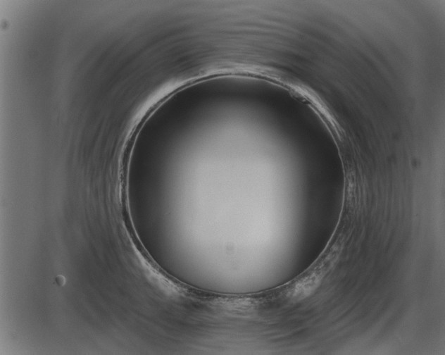 X0000086301143200704091014