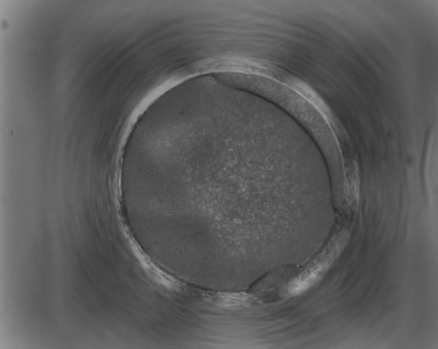 X0000086301144200704091014