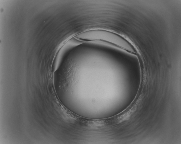 X0000086301145200704091014