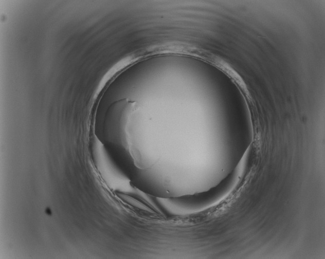 X0000086301146200704091015