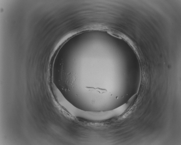 X0000086301147200704091015