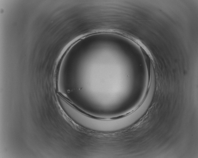 X0000086301148200704091015