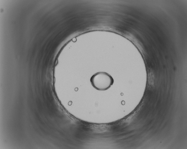 X0000086301150200704091015